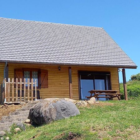 Chalet Sancy Saint-Genès-Champespe Extérieur photo