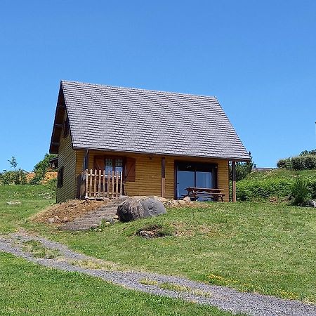 Chalet Sancy Saint-Genès-Champespe Extérieur photo